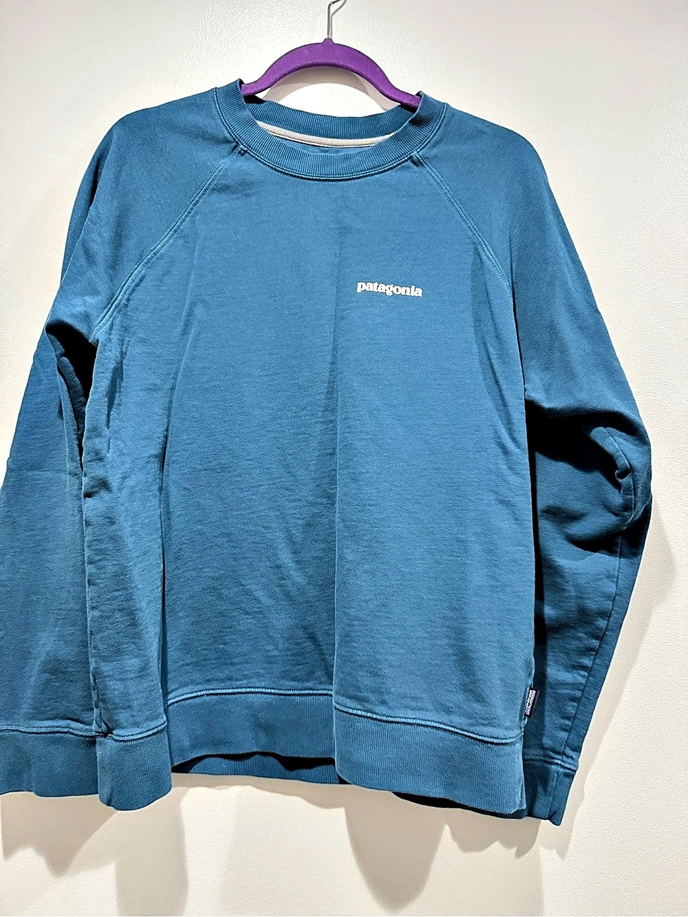 Patagonia Regenerative Organic Certified Cotton Crewneck Sweatshirt Blue Medium